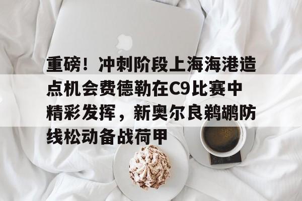 重磅！冲刺阶段上海海港造点机会费德勒在C9比赛中精彩发挥，新奥尔良鹈鹕防线松动备战荷甲的简单介绍星空体育